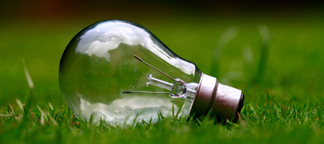 light bulb header